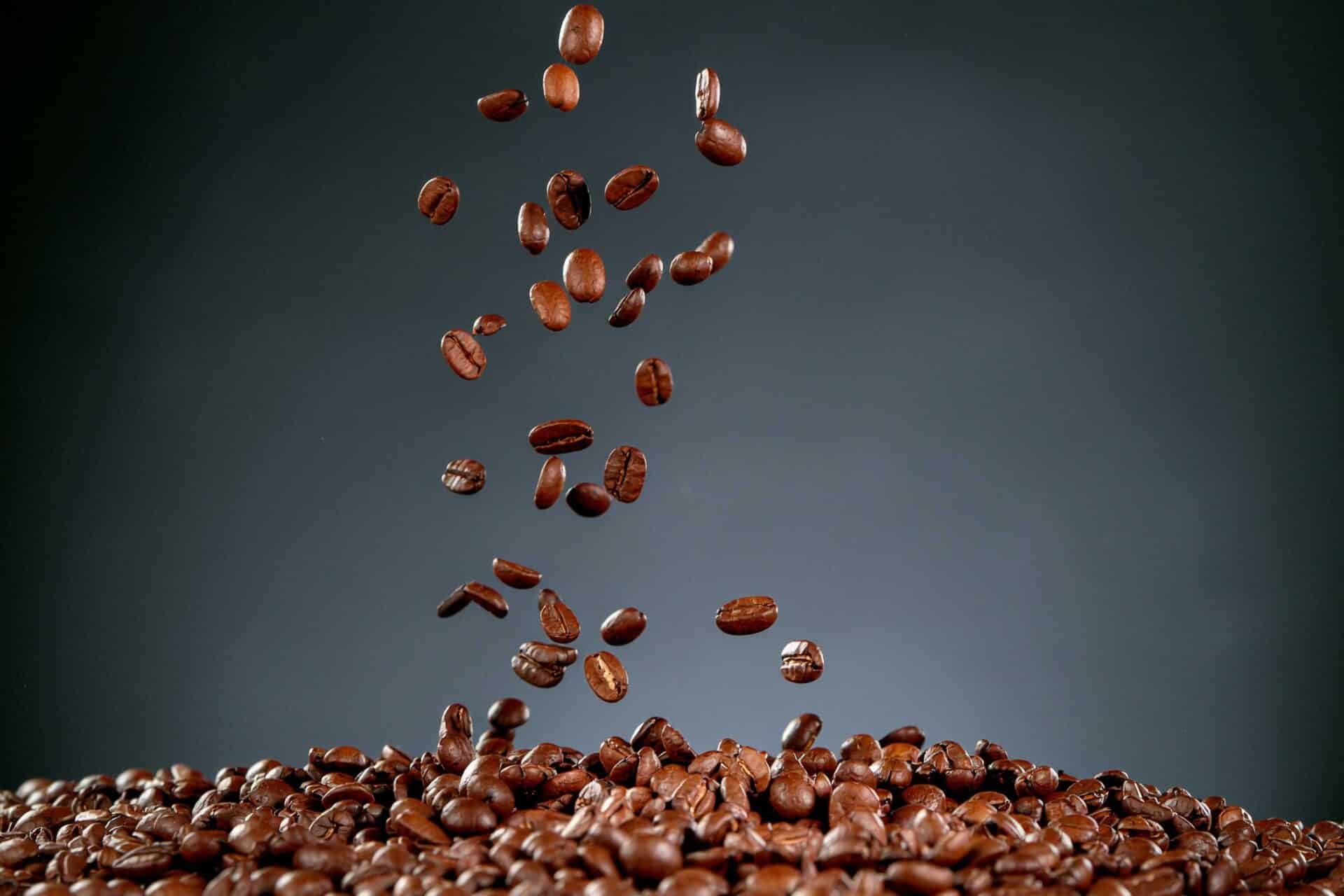 Diferencias entre café Arábica y Robusta: ¿Cuál elegir?