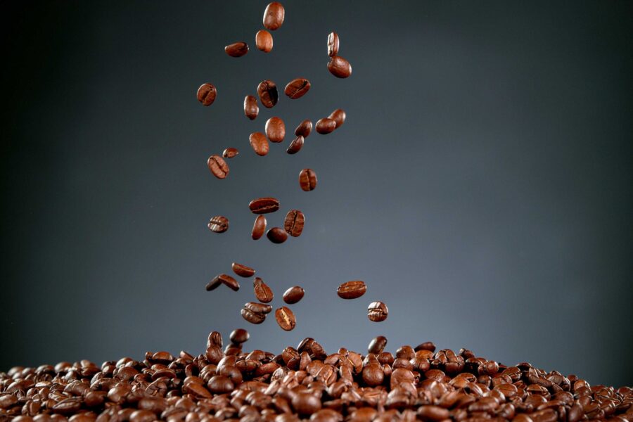 Diferencias entre café Arábica y Robusta: ¿Cuál elegir?