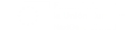 ES-Financiado-por-la-Union-Europea_WHITE-Outline-1